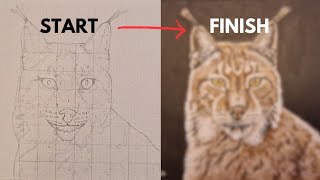 Painting a Lynx  Oil Painting Time Lapse [upl. by Stockton]