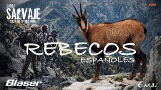 REBECOS ESPAÑOLES [upl. by Marmion]