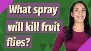 What spray will kill fruit flies [upl. by Raskin]