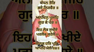 Sukhmani Sahib ਦਾ ਪਾਠ ♥️ ਕਰਨ ਨਾਲ ਲੋਕ ਤੇ ਪਰਲੋਕ ਸਫਲ ਹੋ ਜਾਂਦੇ ਨੇਂ 🌸shortssukhmanisahibdapath khalsa [upl. by Gilud]