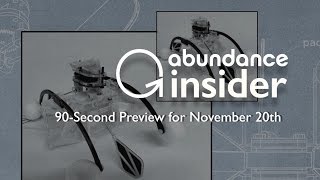 Abundance Insider Preview November 20th [upl. by Dnomed275]