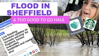 sheffield rotherham Meadowhall flooding Feb 22 amp toogoodtogo haul starbucks [upl. by Ezitram]