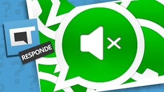 Como silenciar grupos do WhatsApp e impedir sons e notificações Dica de App  Dicas e Matérias [upl. by Gaige131]