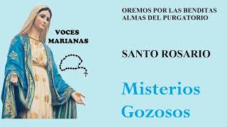 SANTO ROSARIO DE HOY Lunes  Misterios Gozosos [upl. by Kcirdek]