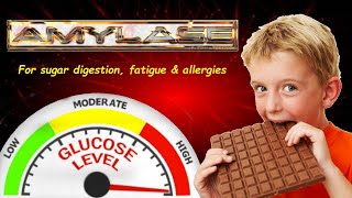 Amylase for sugar digestion allergies and more [upl. by Lebisor231]