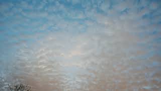 Timelapse  Cirrocumulus Clouds at sunset [upl. by Menis486]