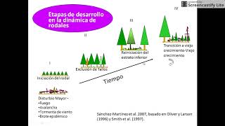 Conceptos básicos de silvicultura Parte II [upl. by Devy73]