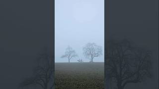 Fog Nebel switzerland herbst nature [upl. by Carlos795]