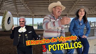 VICENTE FERNÁNDEZ y sus 3 POTRILLOS  ALMA CORONEL [upl. by Lucinda]