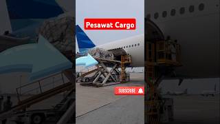 Pesawat Cargo Sedang Mengisi Barangshorts pesawat laguviraltiktok trending [upl. by Alecram]