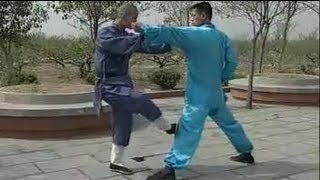 Shaolin Kung Fu 20 fight techniques [upl. by Eanehs]