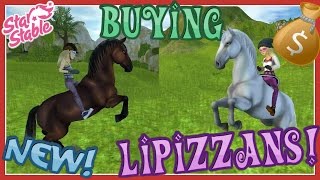 Star Stable Online Buying NEW Lipizzan horses [upl. by Joses]