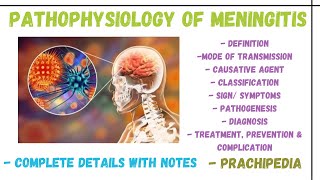 Pathophysiology Of Meningitis [upl. by Ronn]