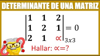 Determinante 3x3 con un parámetro [upl. by Neelyaj310]