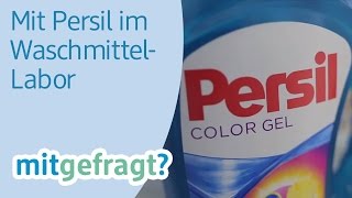 Wäsche sauber waschen Im WaschmittelLabor von Persil  dm mitgefragt Folge 25 [upl. by Thurlough]