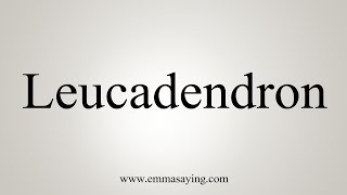 How To Say Leucadendron [upl. by Ellehcam228]