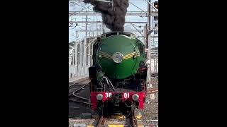 Steam locomotive 3801 at Wollongong steamlocomotive steamengine [upl. by Esinel824]