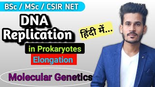 DNA Replication in Prokaryotes  Elongation  BSc MSc CSIR NET [upl. by Basil]