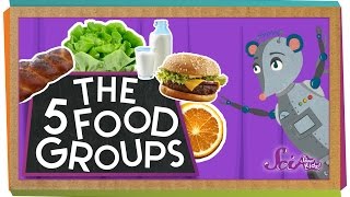 The 5 Fabulous Food Groups [upl. by Friedrich]