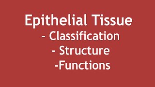 Epithelial Tissue  Classification Structure and Functions ENGLISH  Dr Shikha Parmar [upl. by Odinevneib]