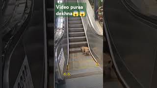 Video ko pura dekhnayoutubeshorts funnyshorts animallover viralshort trendingshorts youtubevid [upl. by Ahsinirt898]