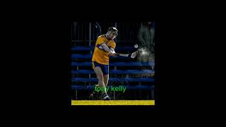 hurlers that use torpey hurleys hurlinghurleysedit [upl. by Clite]