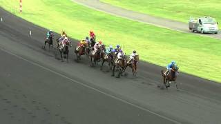 Le Prix de Cornulier 2012 sur lhippodrome ParisVincennes [upl. by Ahsinet]