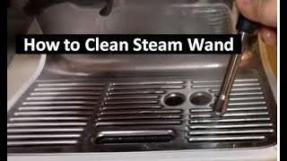 How to Clean Steam Wand  Breville Espresso Machine [upl. by Syla]