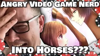 ANGRY VIDEO GAME NERD IS INTO HORSES [upl. by Yerfej816]