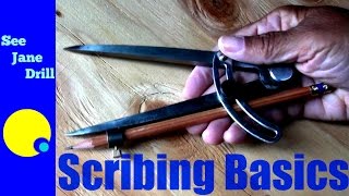 How to Scribe A Beginners Tutorial [upl. by Heindrick]