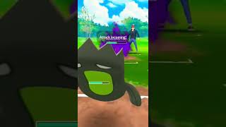 GALARAIN STUNFISK VS SHADOW SKUNTANK⚫️  NINETAILS❄️’s CHARM🥶  TREVENANT🍀   POKEMON GO [upl. by Ingrim]