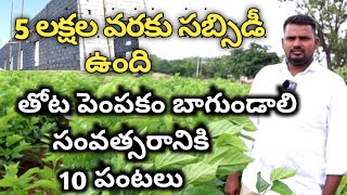 how to start sericulture farming  షేడ్ నిర్మాణo కోసం ఆర్థిక సహాయంపట్టు పరిశ్రమ [upl. by Sirromaj]