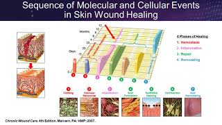 How Science Can Guide Practice Placental Based Allografts [upl. by Eek]