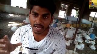 Coccidiosis in poultry farming [upl. by Ylla]