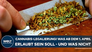 DEUTSCHLAND CannabisLegalisierung Was ab 1 April erlaubt sein soll – und was nicht [upl. by Ennaeilsel]