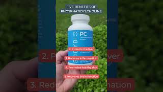 Five benefits of Phosphatidylcholine amp 15 off BodyBio Coupon Code [upl. by Root]