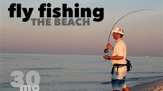 Fly Fishing the Beach  Jack Crevalle amp Ladyfish  Fort Pickens State Park Florida [upl. by Yemorej]