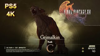 How to find and defeat Grimalkin Notorious Mark  Rank C  Final Fantasy 16 XVI [upl. by Jones445]