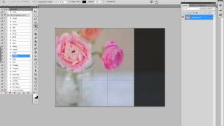 Florabella Texture amp Floral Tutorial 1 [upl. by Allan]