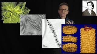 Lecture 07 concept 20 The tobacco mosaic virus coat protein [upl. by Shifrah]