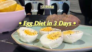 5746kg vlog  EGG DIET again for 3 DAYS [upl. by Nwahsad]