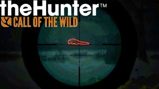 Hunting the Piebald Alligator  The Hunter Call Of The Wild [upl. by Siuoleoj]