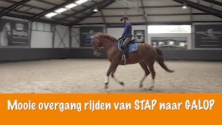 MOOIE OVERGANG RIJDEN van STAP naar GALOP  PaardenpraatTV [upl. by Eniar]