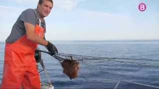 Pescant a la platja de Benirràs [upl. by Anayra]