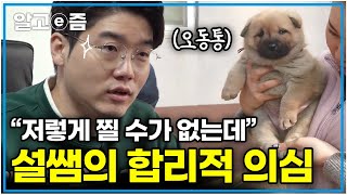 “무슨 3개월 된 강아지 몸을 가지고 있어요” 보호자가 주는 밥만 먹었는데 이상하리만큼 푸짐한 견생 5주 차 새끼 │세상에 나쁜 개는 없다│알고e즘 [upl. by Ahsienauq]