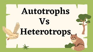 Autotrops Vs Heterotrophs [upl. by Amelie697]