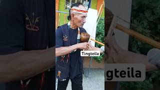 Tingteilaa Stringed Instrument of Tangkhul [upl. by Hsevahb703]