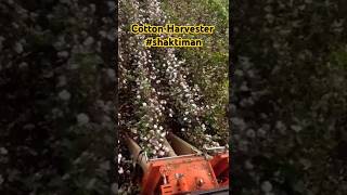 Cotton Harvester  Cotton picker  Shaktiman [upl. by Murtha]