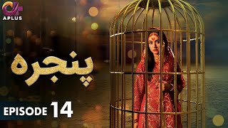 Pakistani Drama  Pinjra  Episode 14  Aplus Gold  Yumna Zaidi Nauman Aijaz  CZ1O [upl. by Ahsikan159]