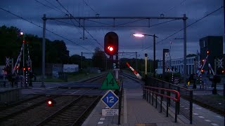 Spoorwegovergang DriebergenZeist  Dutch railroad crossing [upl. by Aikemehs]